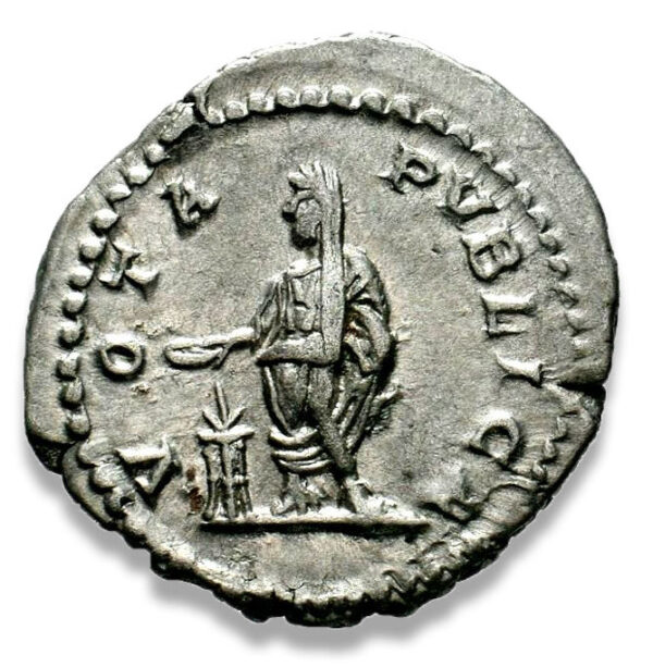 Roman Imperial, Geta, Denarius - Rev