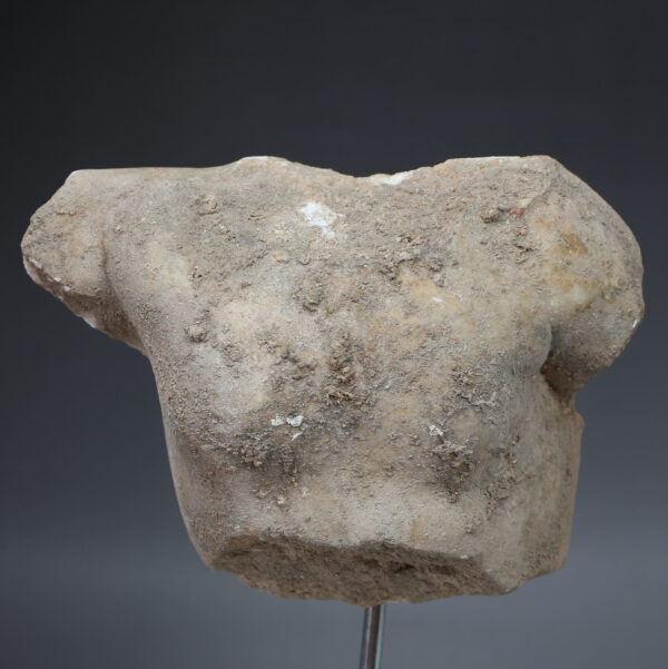 Roman male torso