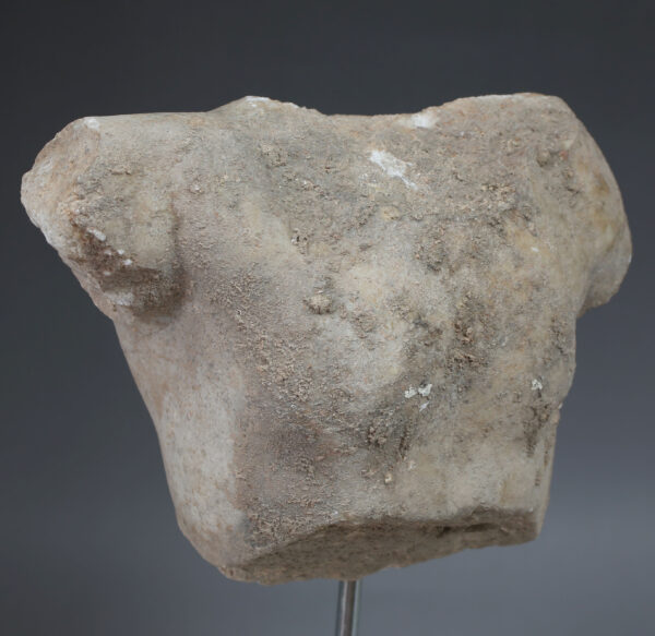 Roman male torso