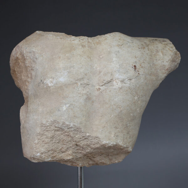 Roman male torso