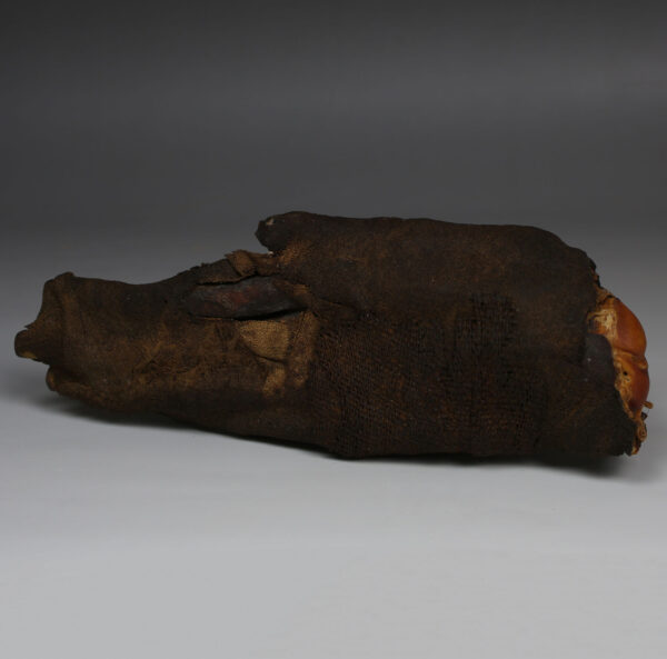 Egyptian mummified hand with X-Ray